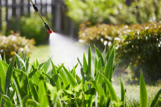 24/7 Emergency Mosquito Control experts in Star, ID